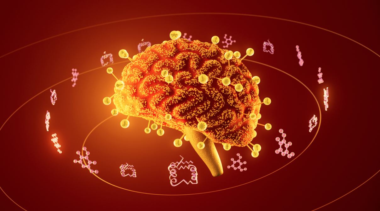 Biology image placeholder